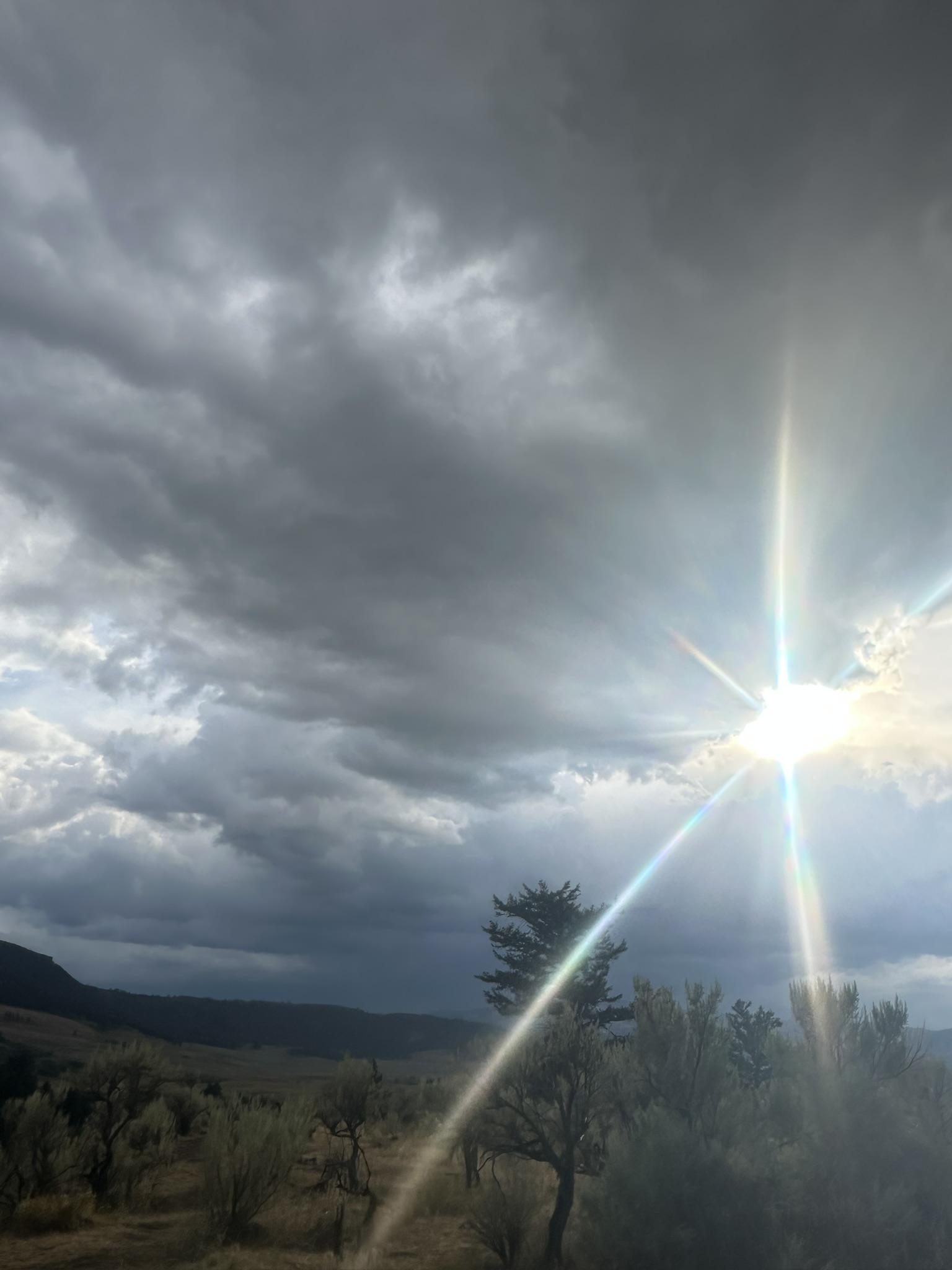 Yellowstone And Grand Teton National Parks - Image 1116